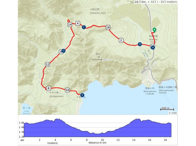小田代原＆千手ケ浜フォレストライド（約18km）【Eバイクセルフ