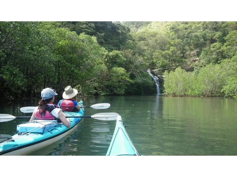 セール実施中【沖縄・西表島】西表島唯一！シーカヤックに乗ったまま滝修行！「水落の滝本格シーカヤックツアー」写真・ランチ付き！の紹介画像