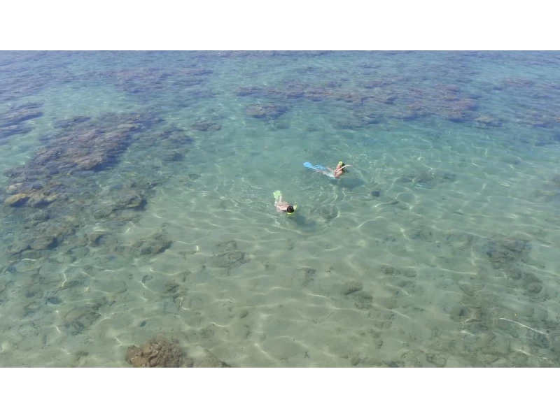 セール実施中【沖縄・西表島】西表島唯一！シーカヤックに乗ったまま滝修行！「水落の滝本格シーカヤックツアー」写真・ランチ付き！の紹介画像