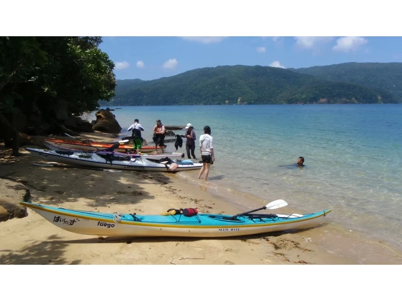 セール実施中【沖縄・西表島】西表島唯一！シーカヤックに乗ったまま滝修行！「水落の滝本格シーカヤックツアー」写真・ランチ付き！の紹介画像