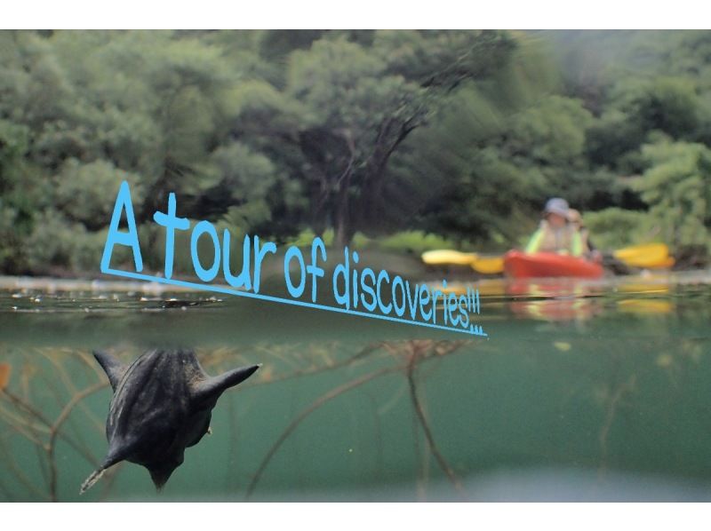 【滋賀・奥琵琶湖】新緑萌ゆる奥琵琶湖畔を楽しむ！大浦湾・奥出湾カヌー体験ツア（半日・午前）の紹介画像