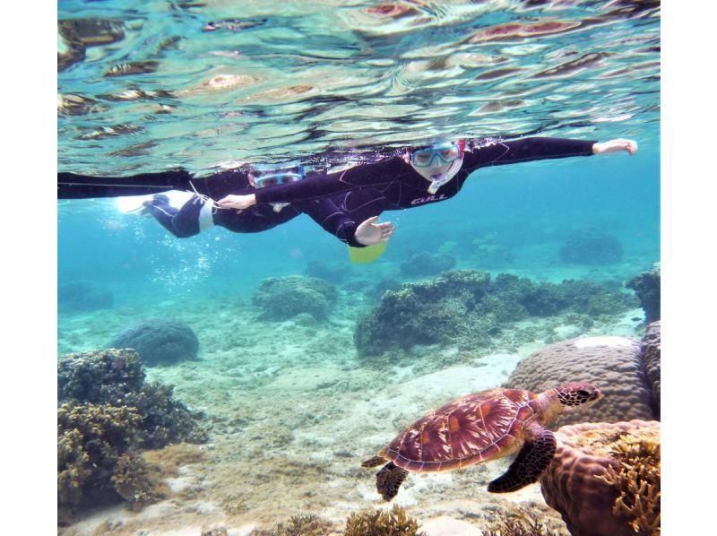 【地域唯一！2時間一組貸切・専用温水シャワー・更衣室・送迎有 5歳・2名様～ 】瀬長島・豊崎から道路で一本♪貸し切りシュノーケリング＠糸満の紹介画像