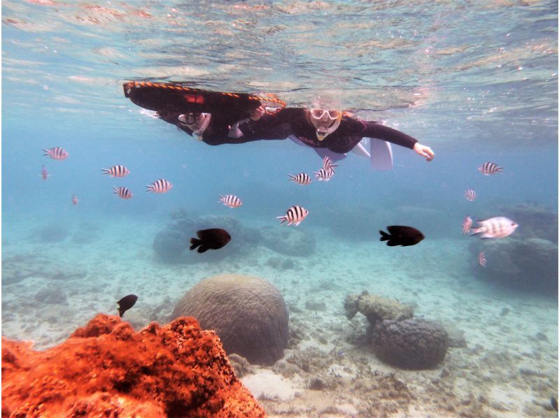 【地域唯一！2時間一組貸切・専用温水シャワー・更衣室・送迎有 5歳・2名様～ 】瀬長島・豊崎から道路で一本♪貸し切りシュノーケリング＠糸満の紹介画像