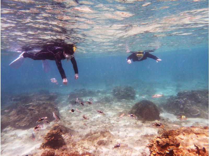 【地域唯一！2時間一組貸切・専用温水シャワー・更衣室・送迎有 5歳・2名様～ 】瀬長島・豊崎から道路で一本♪貸し切りシュノーケリング＠糸満の紹介画像