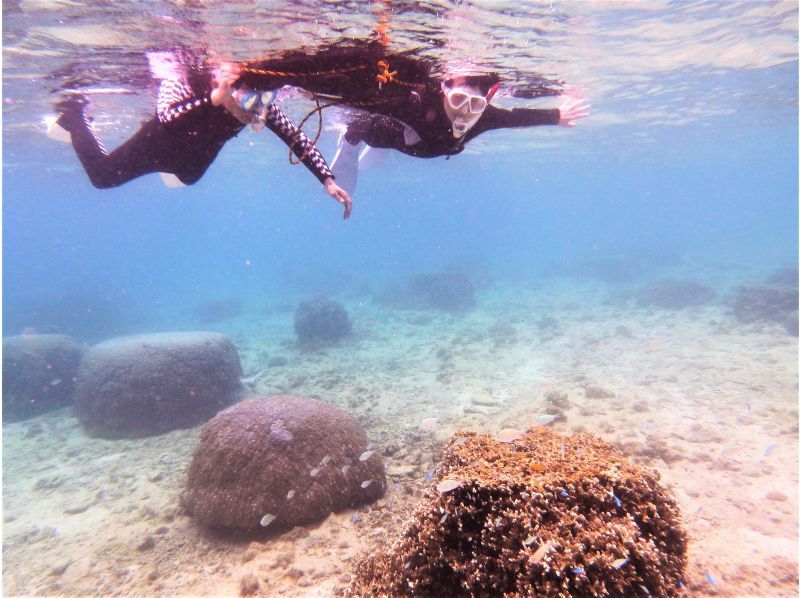 【地域唯一！2時間一組貸切・専用温水シャワー・更衣室・送迎有 5歳・2名様～ 】瀬長島・豊崎から道路で一本♪貸し切りシュノーケリング＠糸満の紹介画像