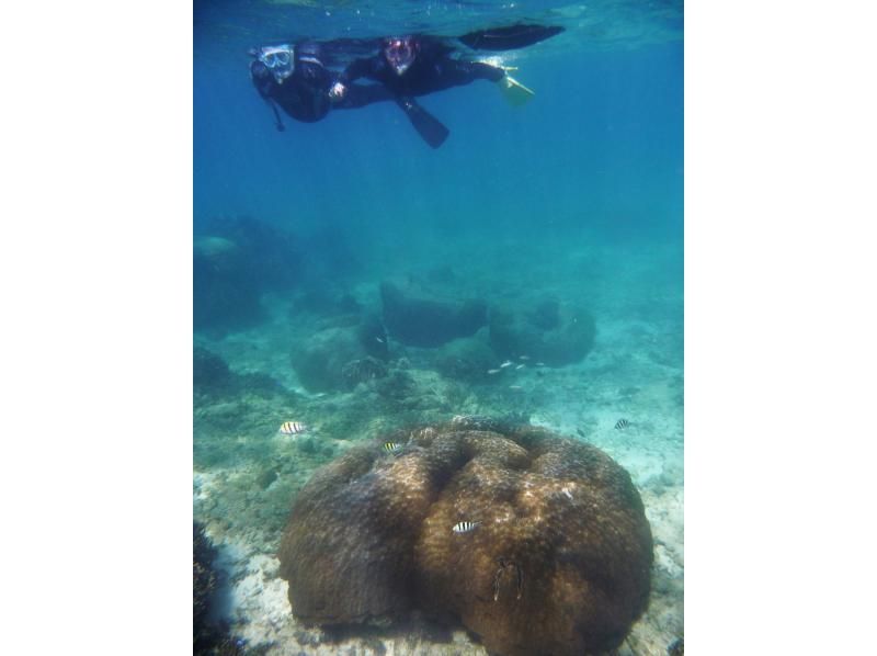 【地域唯一！2時間一組貸切・専用温水シャワー・更衣室・送迎有 5歳・2名様～ 】瀬長島・豊崎から道路で一本♪貸し切りシュノーケリング＠糸満の紹介画像