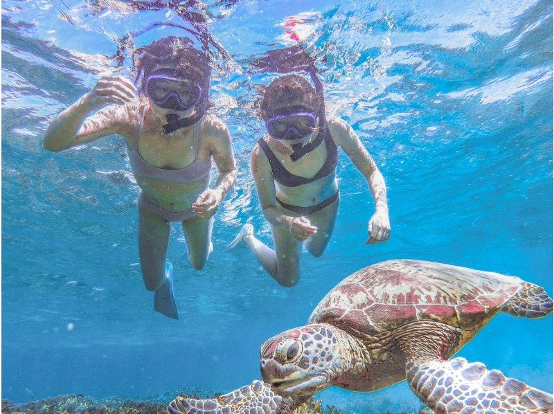 [100% encounter rate continues] Enjoy the Miyako blue! Sea turtle snorkeling {2024 results} ★Beginners/Families welcome★ [Free photos]の紹介画像