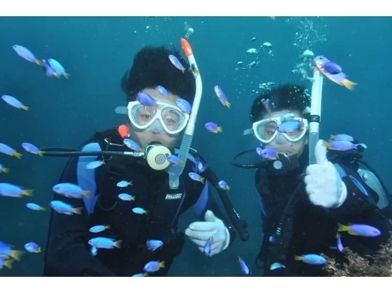 [ชิซูโอกะ/อิโตะ] ประสบการณ์การดำน้ำ ★ ตอนบ่าย ★ พบกับปลาการ์ตูนกันเถอะ ♪ ยินดีต้อนรับผู้เริ่มต้น! เช่ากล้องฟรี!の紹介画像
