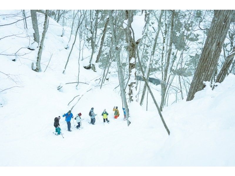 [Hokkaido, Sapporo, Jozankei] Let's walk through the forest with snowshoes, which can only be visited in winter! ～Tekuteku Winter Forest Exploration Tour～ (includes bonfire and roasted marshmallows)の紹介画像