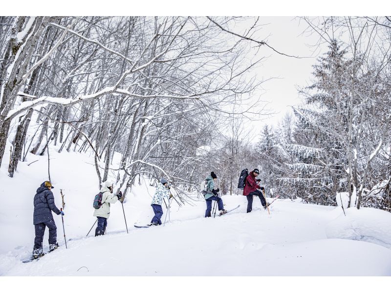 [Hokkaido, Sapporo, Jozankei] Recommended for those who want to do a little skiing or walk through the winter forest! ~Smooth Snow Hike~ (includes bonfire and roasted marshmallows)の紹介画像