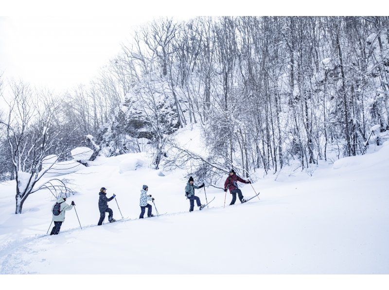 [Hokkaido, Sapporo, Jozankei] Recommended for those who want to do a little skiing or walk through the winter forest! ~Smooth Snow Hike~ (includes bonfire and roasted marshmallows)の紹介画像