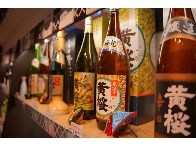 SALE！【京都・伏見】日本酒の季節!!日本三大酒処伏見の酒蔵見学3時間ツアー！（日本酒飲み比べセット・冬限定清酒アイス・京都ビール付）の紹介画像