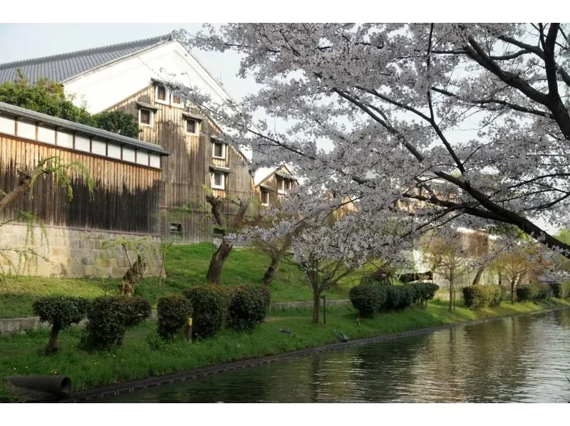 【京都・伏見】祝!!ユネスコ無形文化遺産登録！日本三大酒処伏見の酒蔵見学3時間ツアー（日本酒飲み比べセット・冬限定清酒アイス・京都ビール付）の紹介画像