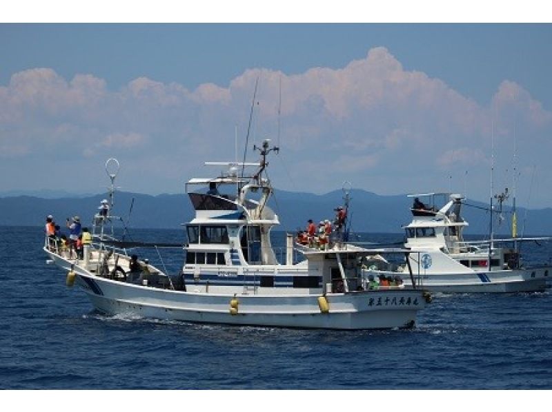 [Kochi/Kuroshio] Regular service ★ Operated by an active fisherman with a local guide on board ★ Meet Bryde's whales and dolphins ★ Lectures provided in advance ★ Whale figures for everyoneの紹介画像