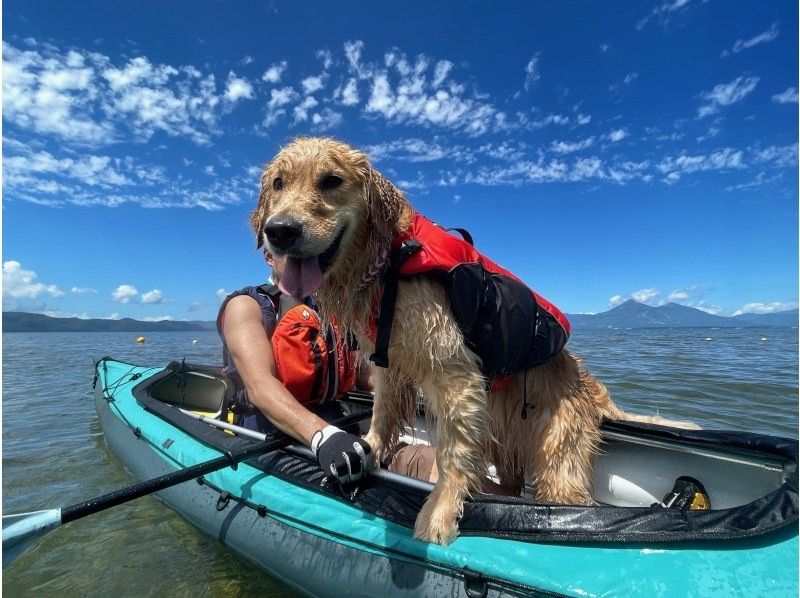 【みどり市草木湖・群馬県】かぬ～っこ　早朝の幻想的な世界へ♪3歳から乗れる！草木湖早朝カヌーツアー☆愛犬もご一緒に！の紹介画像