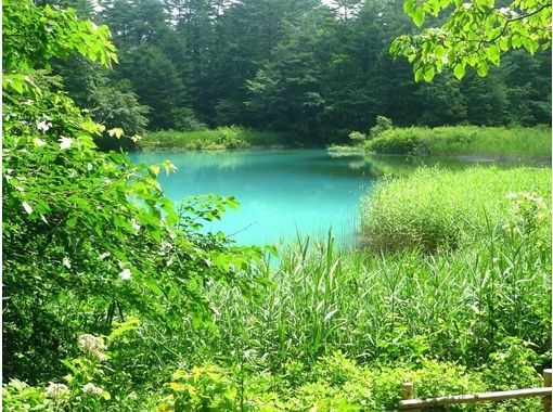 福島 裏磐梯 高原徒步 神秘五色沼遊 Activityjapan 福島 裏磐梯 高原徒步 神秘五色沼遊 Activityjapan