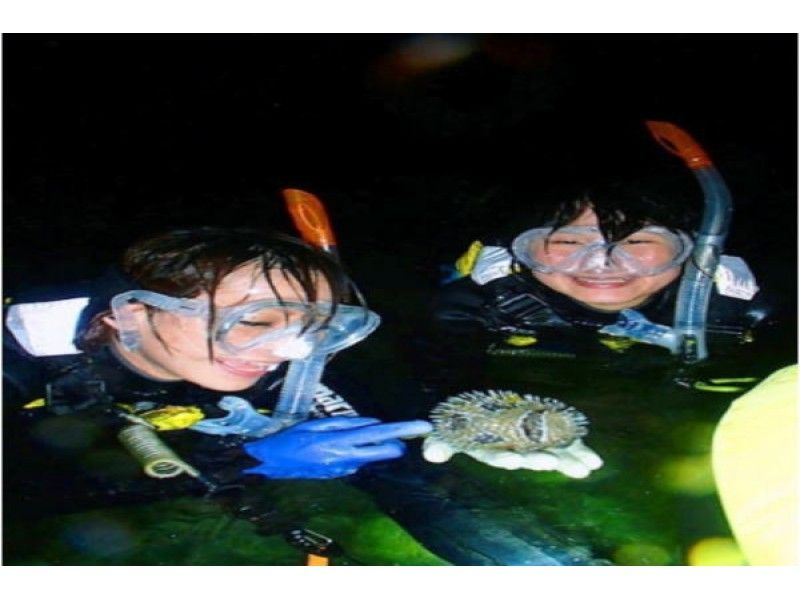[沖縄·本部町]讓我們晚上去看珊瑚和熱帶魚！浮潛夜間課程の紹介画像