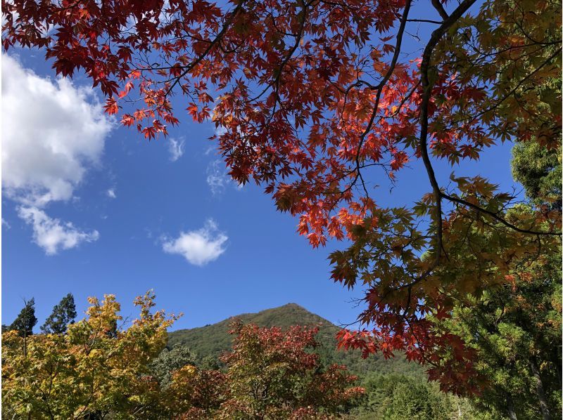 【広島・北広島町】Trip！Cycling大朝　大朝の紅葉を満喫！　e-bikeガイドツアー　自転車好き・自然が好きな方向けの紹介画像