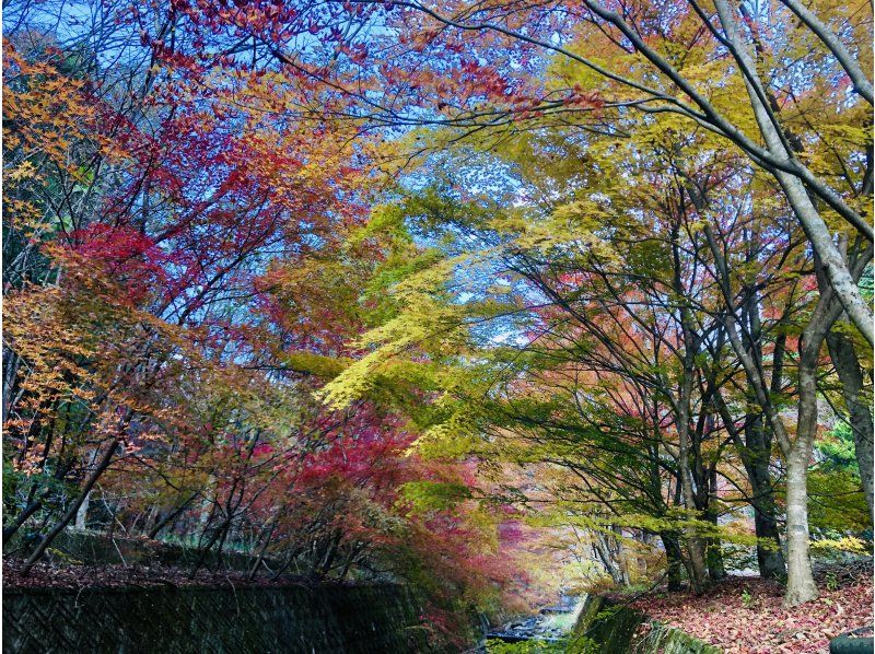 【広島・北広島町】Trip！Cycling大朝　大朝の紅葉を満喫！　e-bikeガイドツアー　自転車好き・自然が好きな方向けの紹介画像