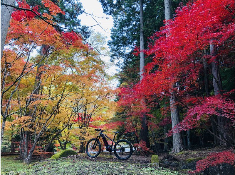 【広島・北広島町】Trip！Cycling大朝　大朝の紅葉を満喫！　e-bikeガイドツアー　自転車好き・自然が好きな方向けの紹介画像