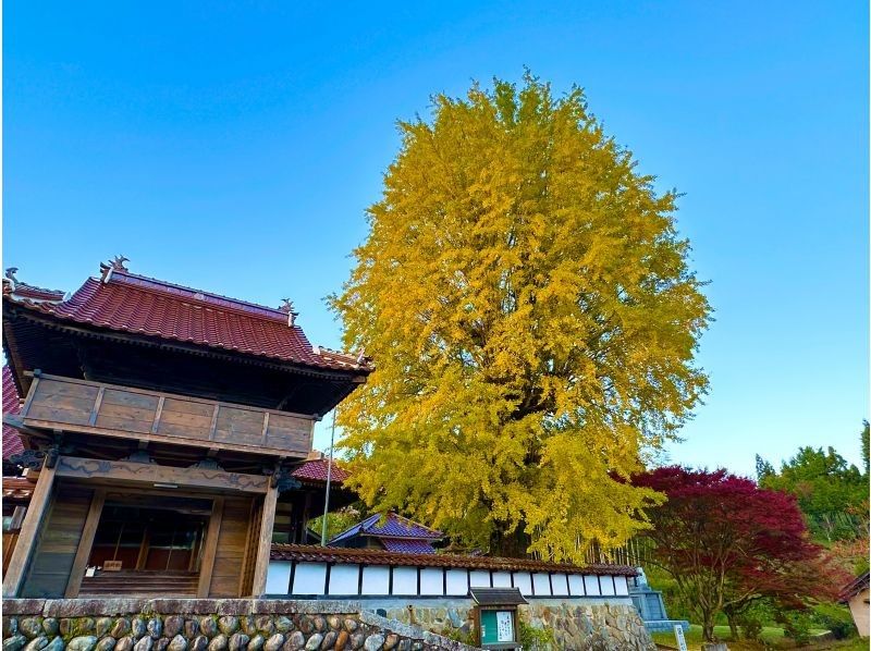 【広島・北広島町】Trip！Cycling大朝　大朝の紅葉を満喫！　e-bikeガイドツアー　自転車好き・自然が好きな方向けの紹介画像