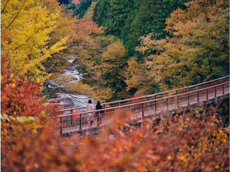 【東京・武蔵五日市】"東京の清流と秘境"ガイドツアー：電動サイクリングとリバートレッキングで 秋川渓谷を満喫！地域一番人気の看板ツアーです