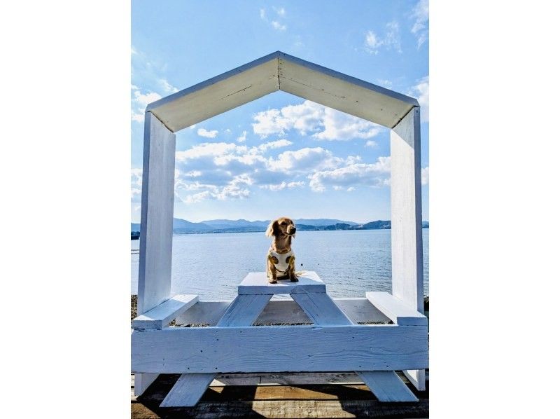 「スプリングセール実施中」愛犬と一緒にサップorカヤックで海上散歩！の紹介画像