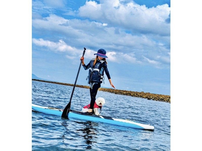 愛犬と一緒にサップorカヤックで海上散歩！の紹介画像