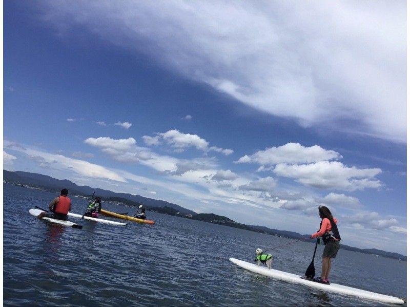 愛犬と一緒にサップorカヤックで海上散歩！の紹介画像