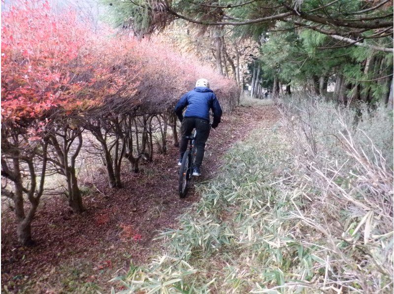 【栃木・日光】日光鬼怒川マウンテンバイクオフロード体験（2時間30分）初心者向けの紹介画像