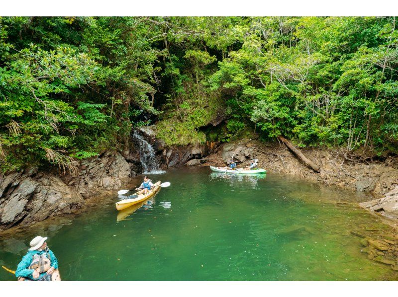 ＜沖縄・やんばる東村＞選べるフォトツアー　in 北部プレミアム～ドローンを組み合わせての紹介画像