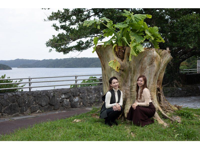 ＜沖縄・やんばる東村＞選べるフォトツアー　in 北部プレミアム～ドローンを組み合わせての紹介画像