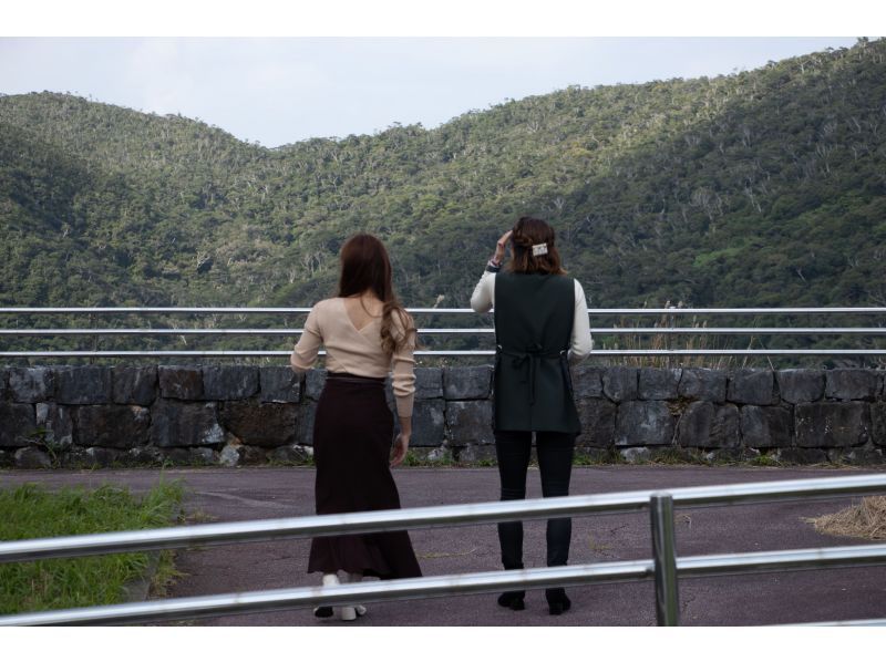 ＜沖縄・やんばる東村＞選べるフォトツアー　in 北部プレミアム～ドローンを組み合わせての紹介画像