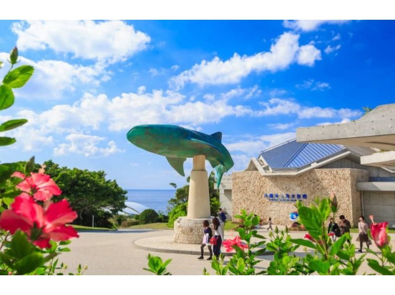 [Churaumi Aquarium admission ticket & parasailing or flyboard or hoverboard] Get admission ticket for elementary and junior high school students for 100 yen Parking lot freeの紹介画像