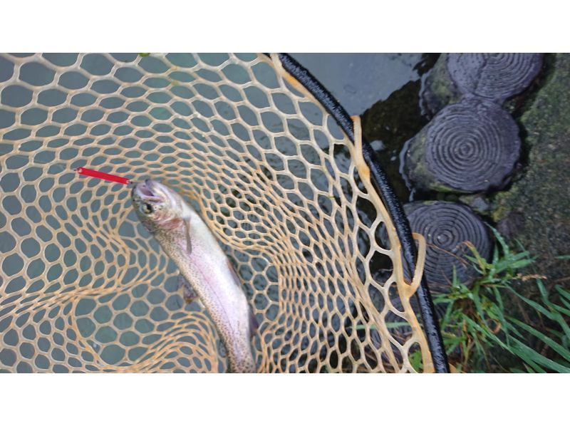 [Akiruno City, Tokyo] *Family friendly* Near Hachioji, near Akiruno Interchange, rainbow trout fishing lure experienceの紹介画像