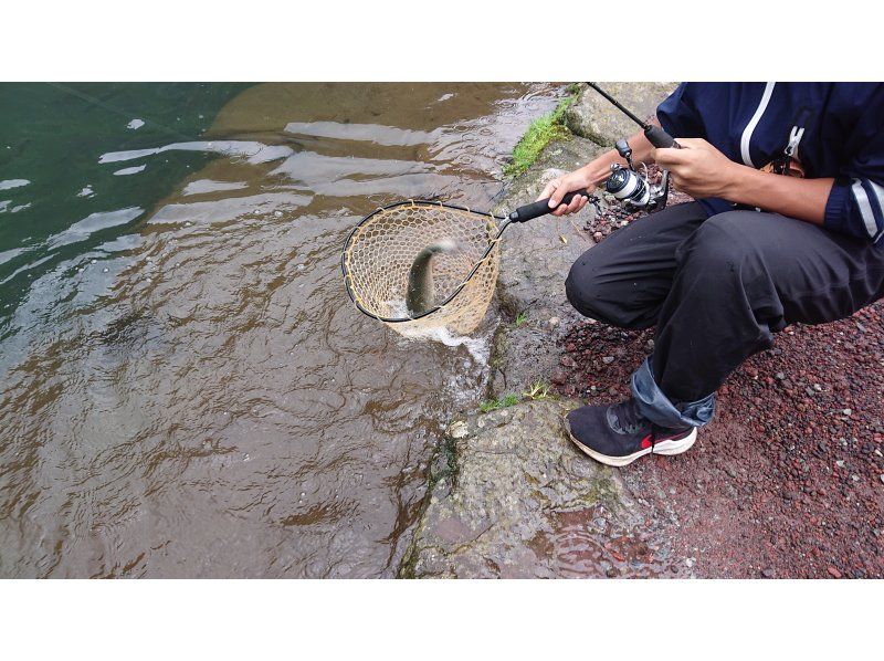 [Kanagawa/Sagamihara] * For families * Experience rainbow trout fishing with lures and bait fishing at Nakatsugawa Fishing Fieldの紹介画像