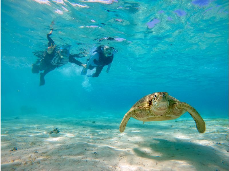 [Spring sale now on] [99.9% chance of encountering sea turtles] [Clear SUP & Snorkel] Popular 2-hour plan♪ ☆Free drone and underwater photography☆の紹介画像