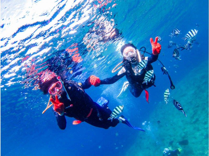 [Okinawa, Onna Village, Gino] Satisfaction No. 1! 12 types of screaming marine play as much as you want & blue cave snorkeling ★ Underwater photography & gifts, feeding and experiences are also free!の紹介画像