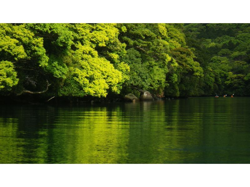 【鹿児島・屋久島】安房川リバーカヤック☆初心者・お一人様OK！半日コース（午前/午後）