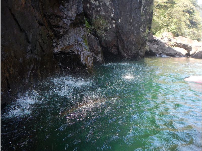 【鹿児島・屋久島】安房川リバーカヤック☆初心者・お一人様OK！半日コース（午前/午後）