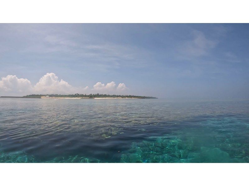 [Okinawa, Minna Island] Minna Island snorkeling or skin diving tour!の紹介画像