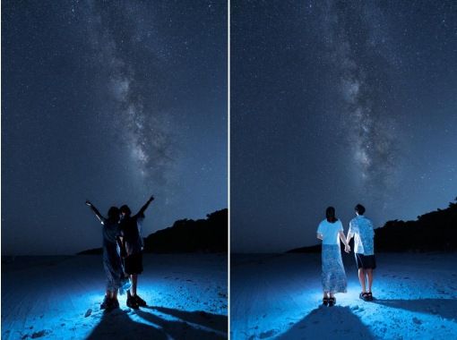 【English OK】”ヤエヤマヒメボタル 【English OK】”ヤエヤマヒメボタル