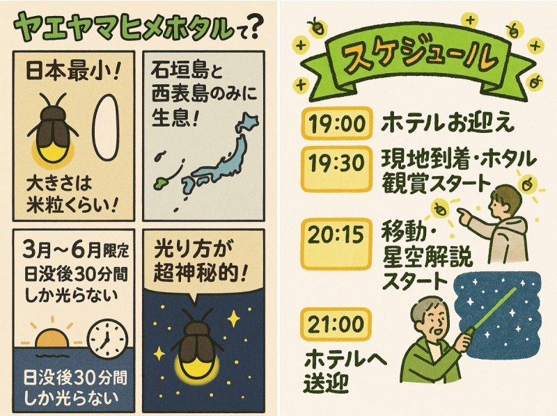 【English OK】”ヤエヤマヒメボタル"観賞ツアー★公認ガイドの星空解説付き★（往復送迎）の紹介画像