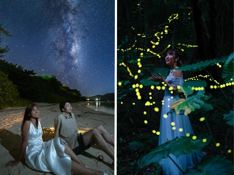 【English OK】”ヤエヤマヒメボタル"観賞ツアー★公認ガイドの星空解説付き★（往復送迎）の紹介画像