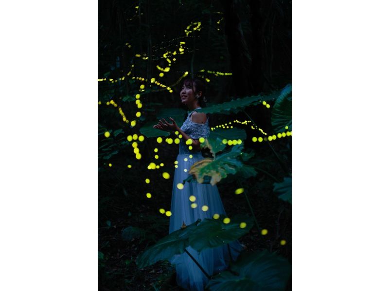 [Okinawa, Ishigaki Island] "Yaeyama Hime Firefly" viewing tour ★ Stargazing with an Ishigaki City certified guide ★ (round-trip transportation included)の紹介画像