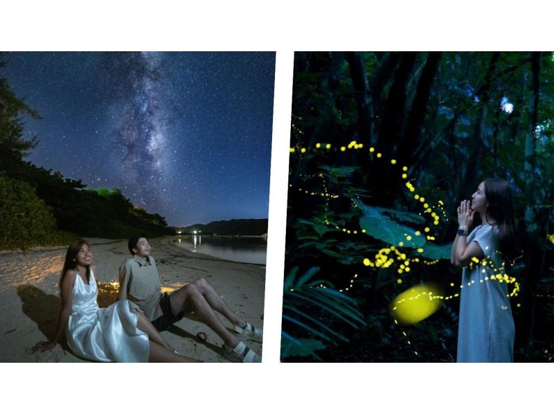 [Okinawa, Ishigaki Island] "Yaeyama Hime Firefly" viewing tour ★ Stargazing with an Ishigaki City certified guide ★ (round-trip transportation included)の紹介画像