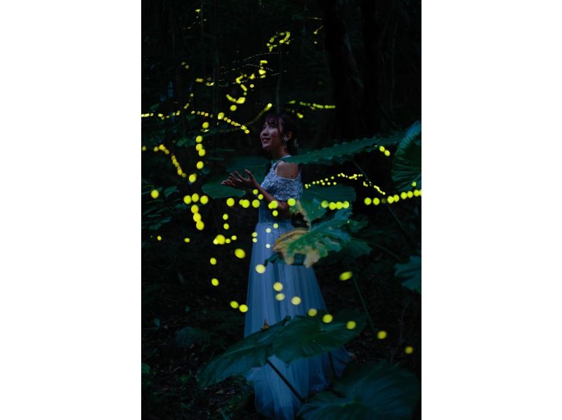 [Okinawa/Ishigaki Island] Spring sale underway! "Yaeyama Hime Fireflies" viewing tour★Includes starry sky observation by Ishigaki City official guide★(round-trip transportation included)の紹介画像