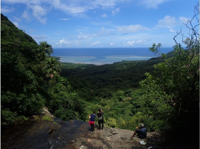 【沖縄・西表島】渓流ジャングルトレッキング★半日たっぷり遊べます！の紹介画像