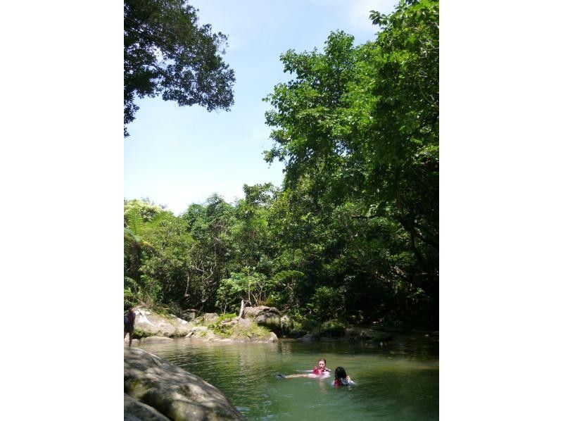 【沖縄・西表島】渓流ジャングルトレッキング★半日たっぷり遊べます！の紹介画像