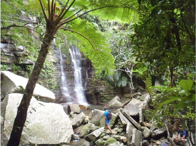 【沖縄・西表島】渓流ジャングルトレッキング★半日たっぷり遊べます！の紹介画像